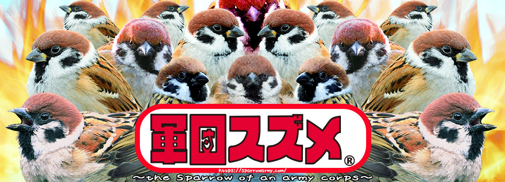 軍団スズメ画像
